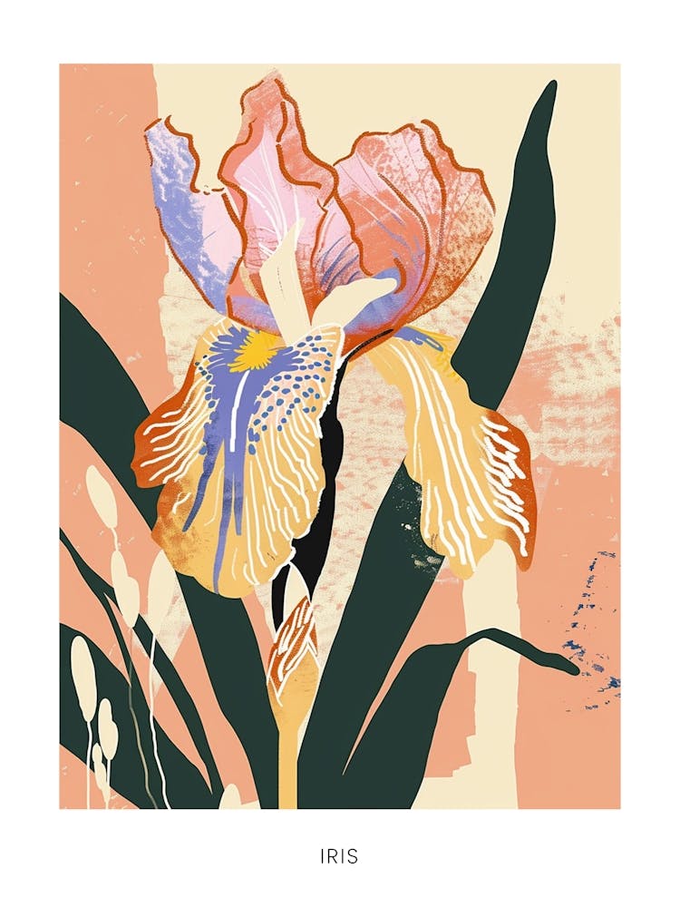 Colourful Flower Illustration Poster Iris 5