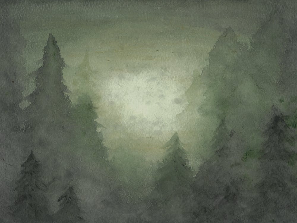 Misty Forest