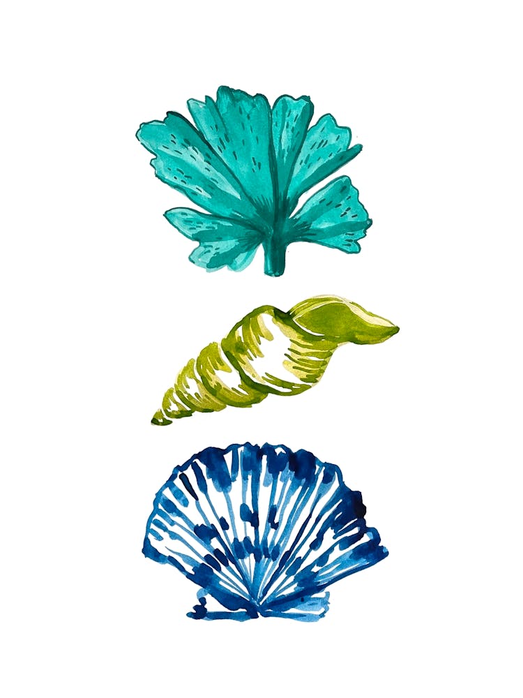 Watercolor Seashells