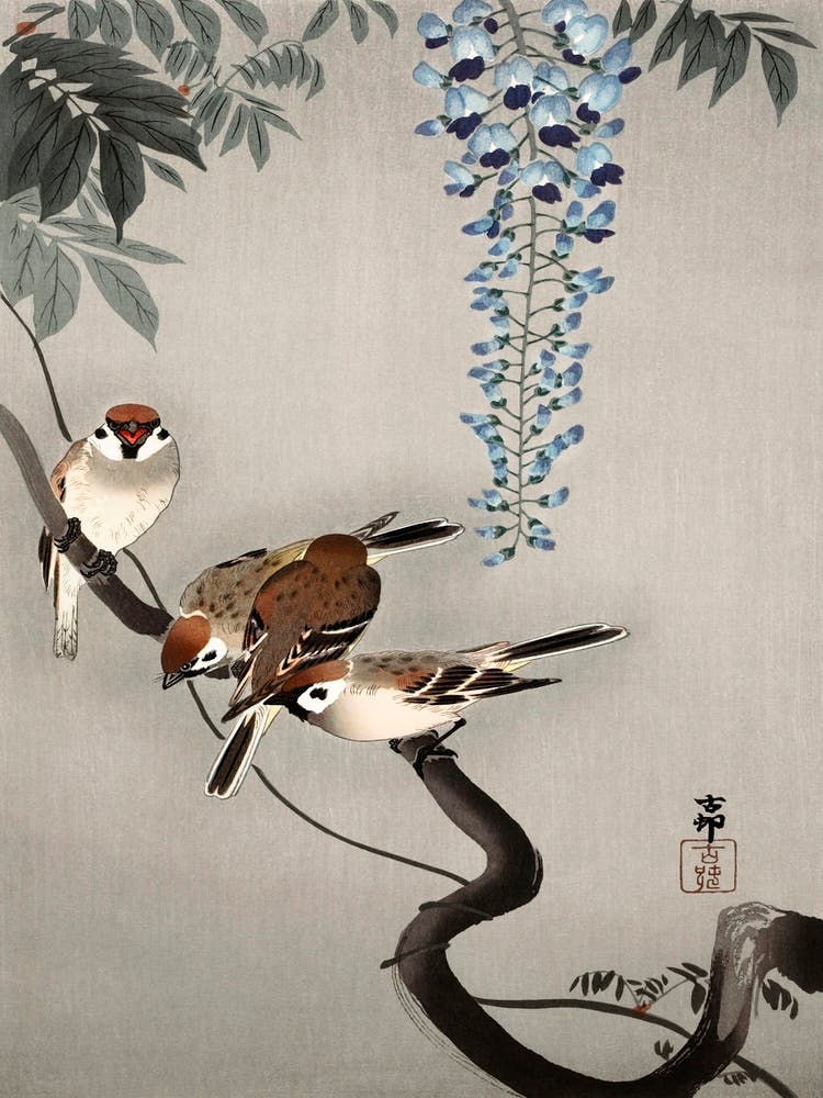 Ring Sparrows At Wisteria (1900 1936), Ohara Koson