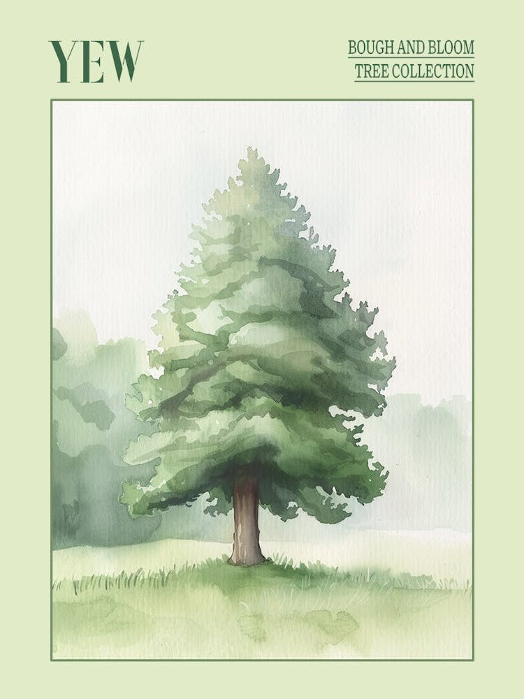 Yew Tree Atmospheric Watercolour Painting 3 Poster