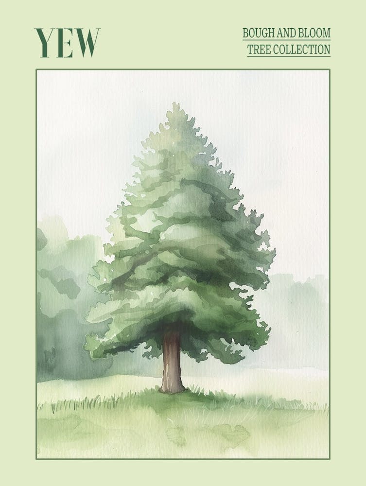 Yew Tree Atmospheric Watercolour Painting 3 Poster
