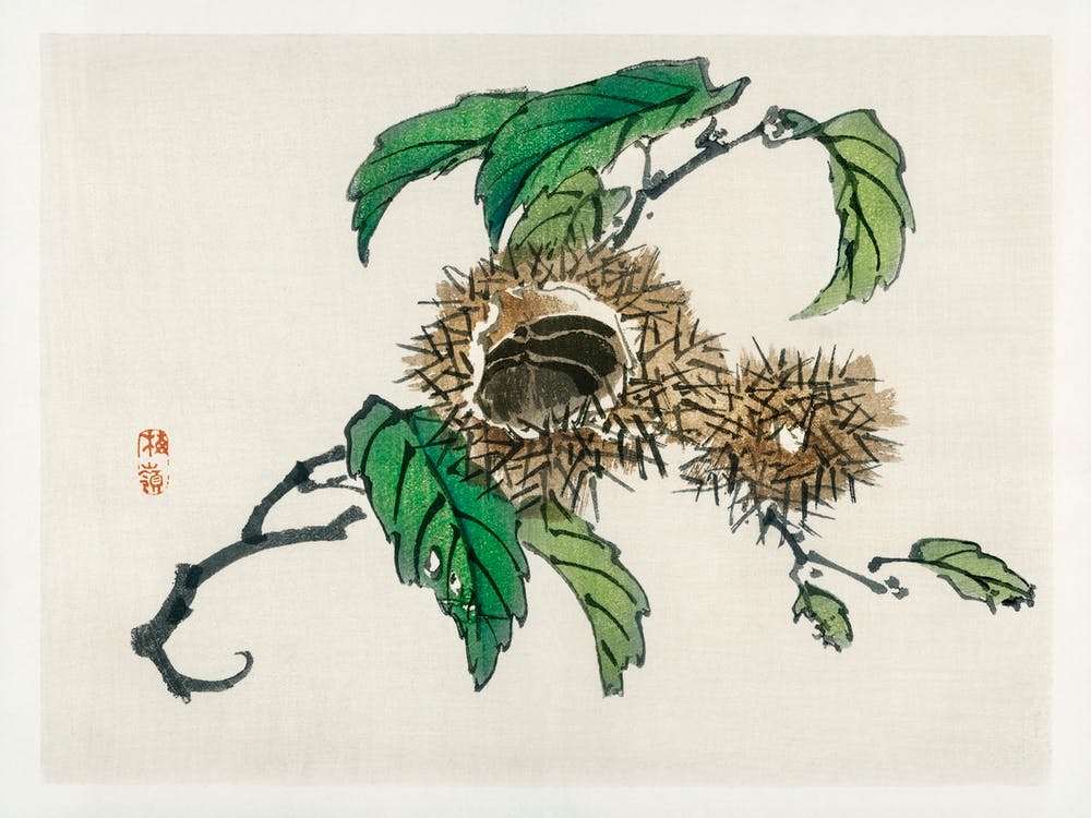 Kastanie, Kōno Bairei
