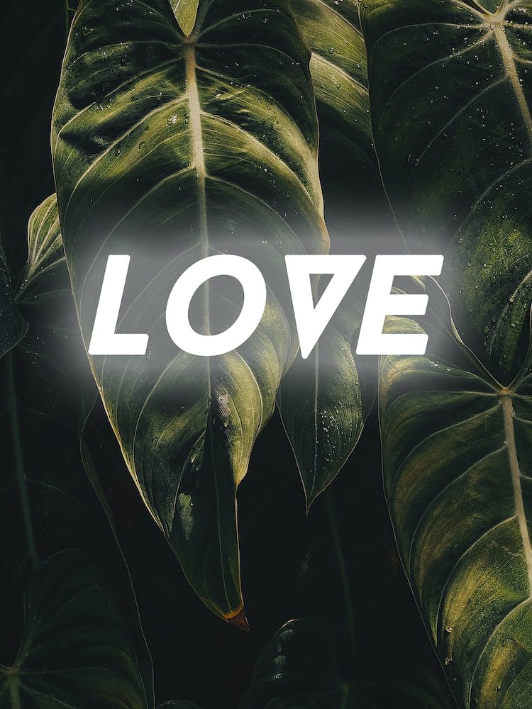 Natural Love