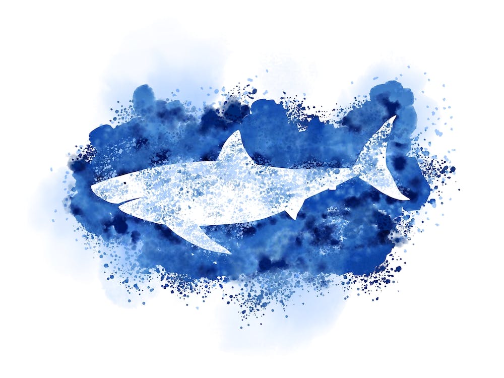 Shark Deep Blue Sea Watercolour