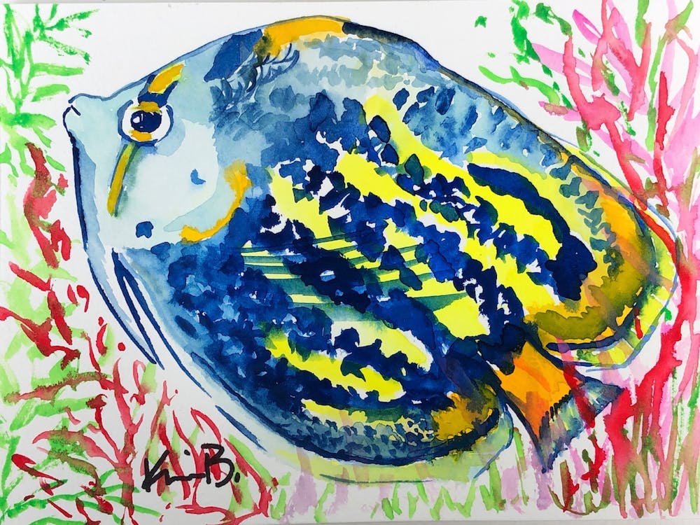 Blue Fish