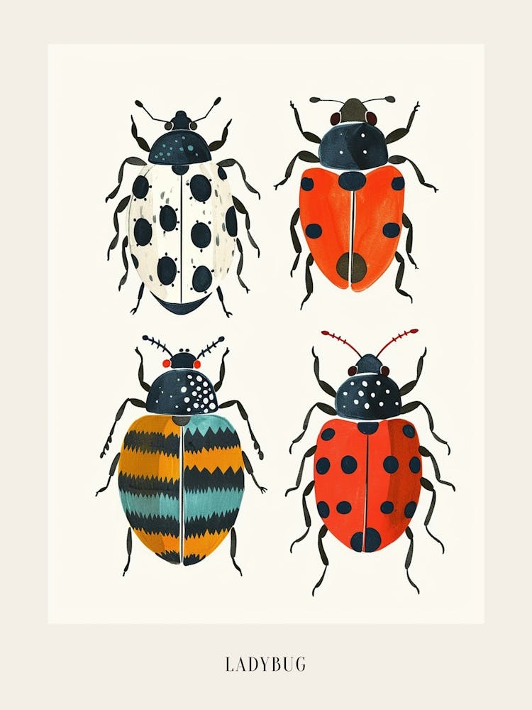 Colourful Insect Illustration Ladybug 25 Poster