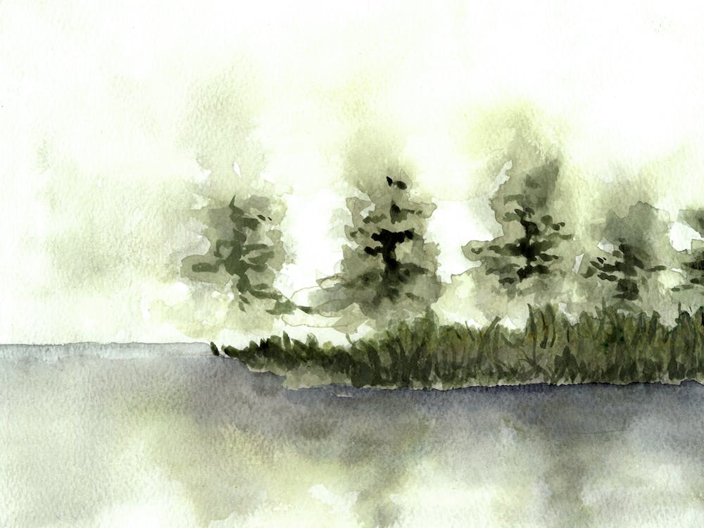 Misty Lake