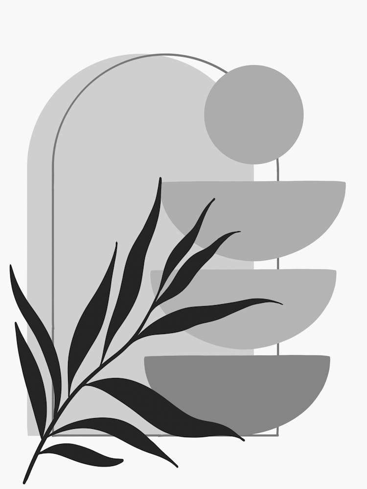 Black And White Png