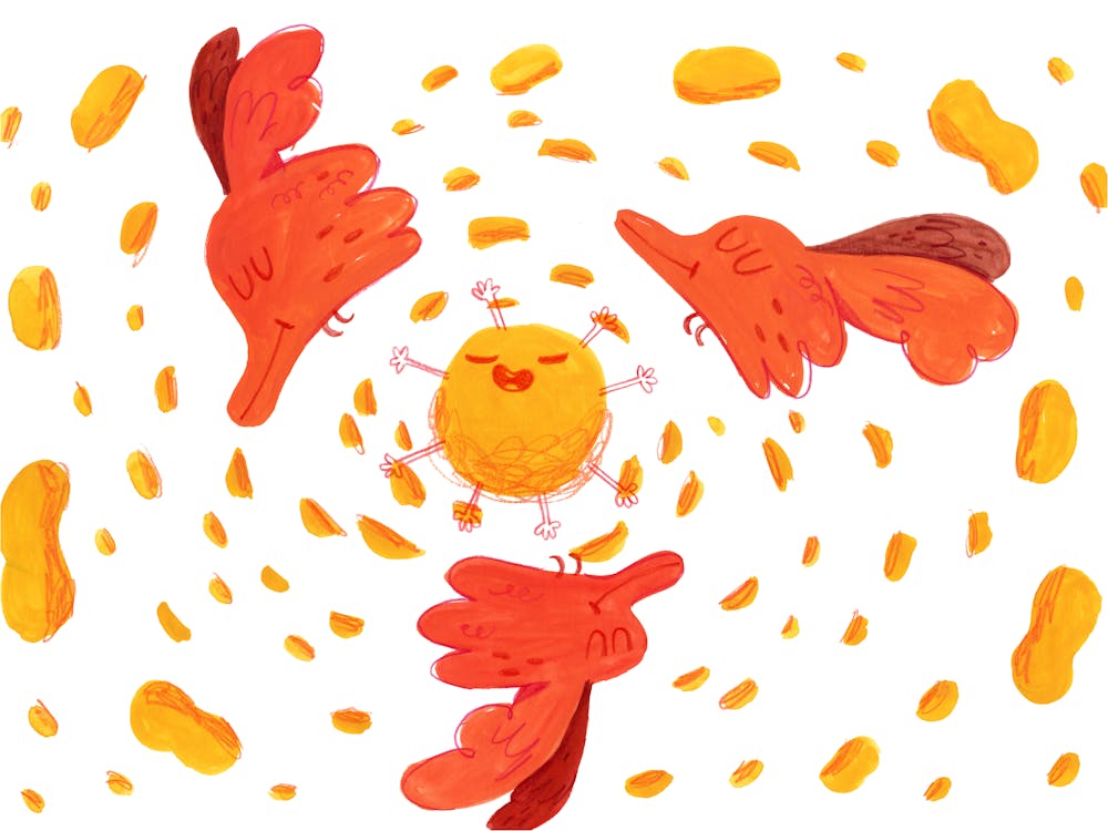 Cute birds in the sky