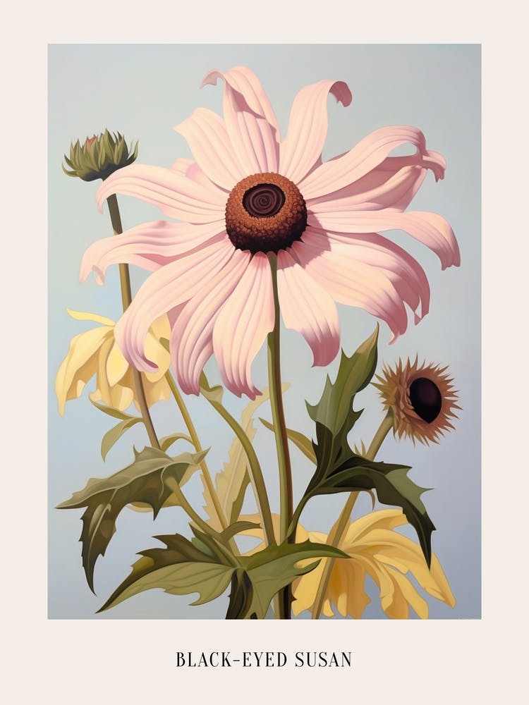 Florale Illustration Black-Eyed Susan 1 Poster