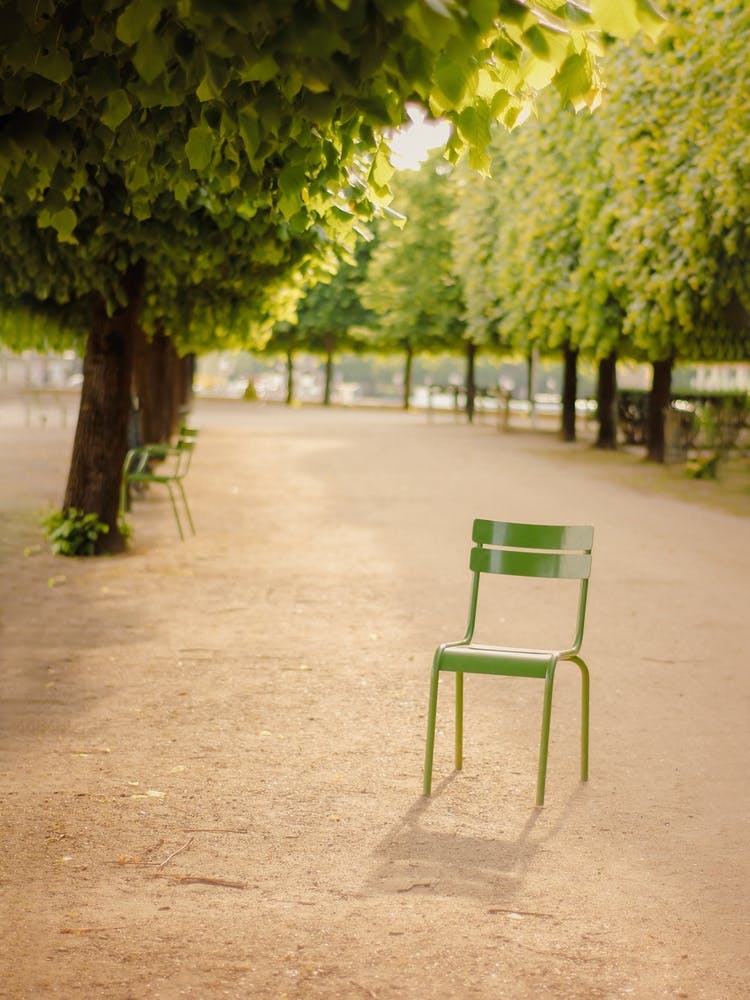 Paris Green Chair At Tuileries Garden