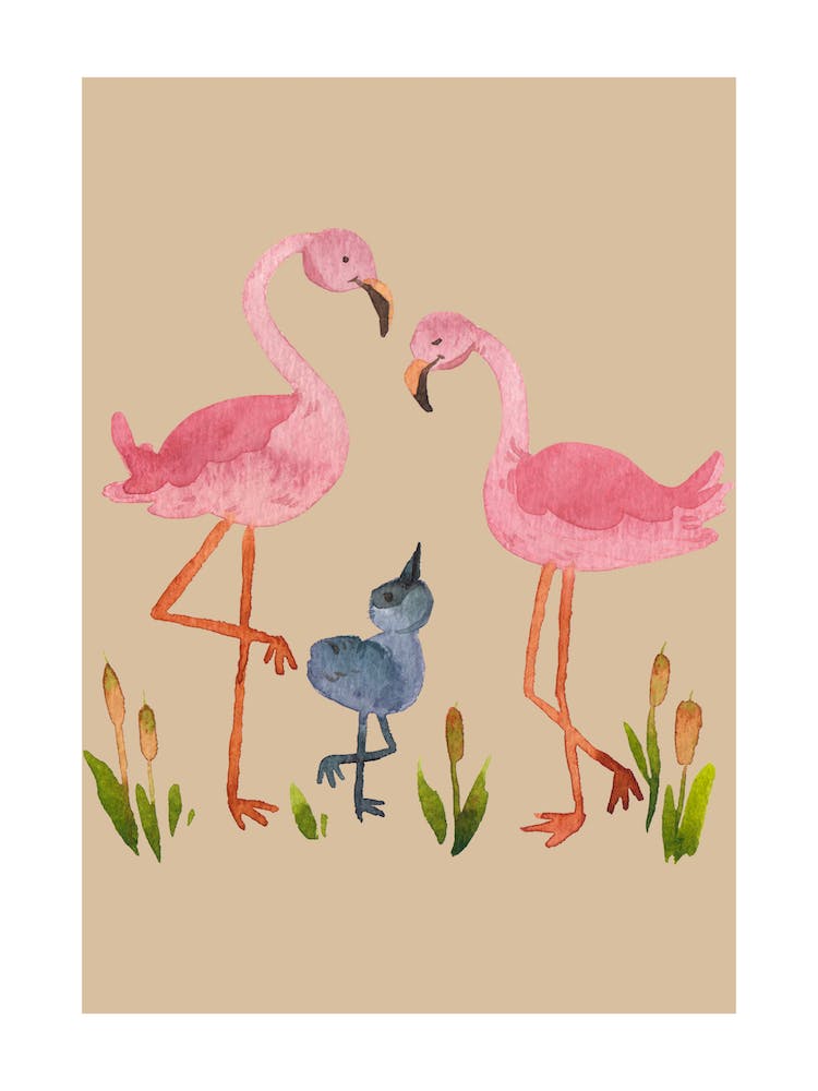 Parent Flamingo And Baby