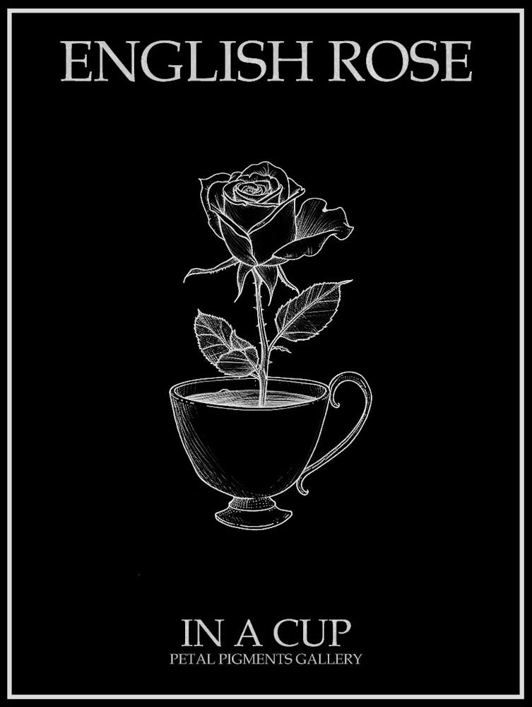 English Rose In A Cup Line Drawing 3 Poster Inverted
