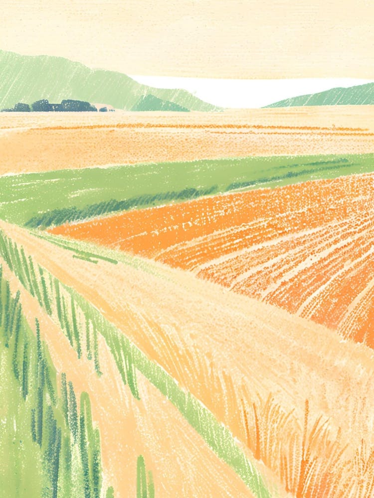 Field Of Wheat 2