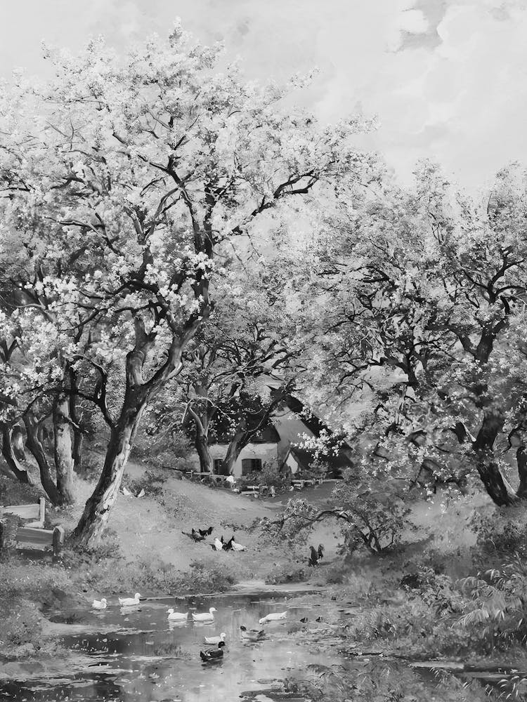 Apple Trees By The Pond
