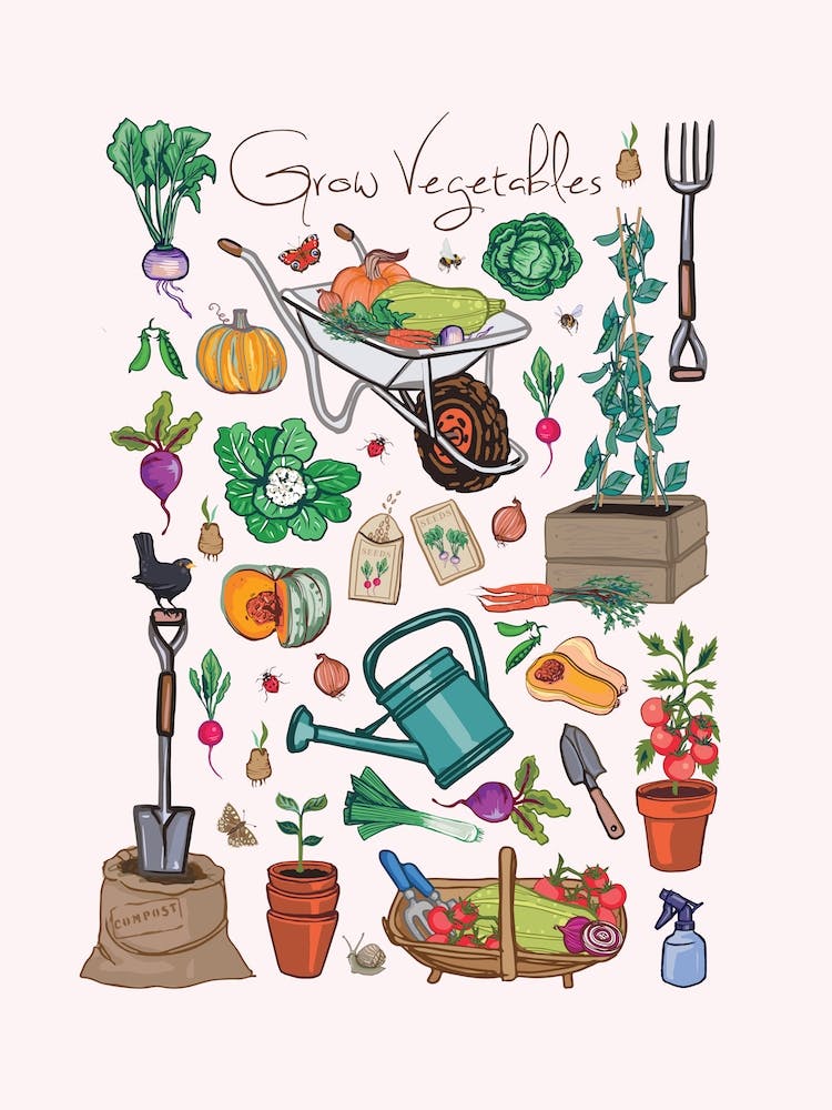 Grow Vegetables