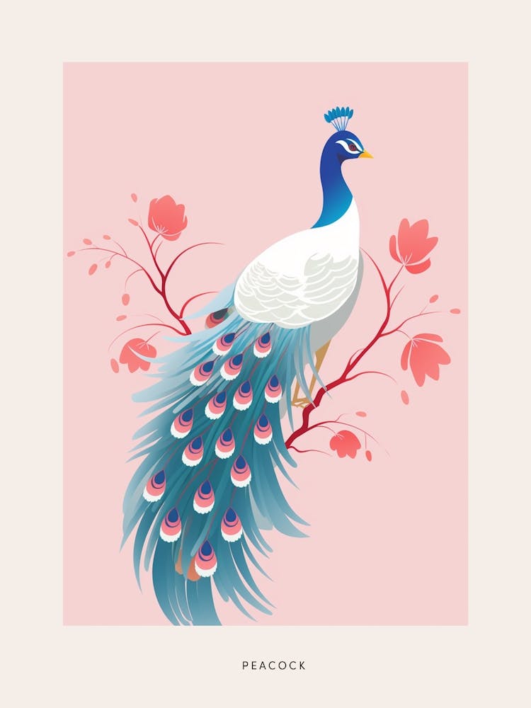 Minimalist Peacock 3 Bird Poster