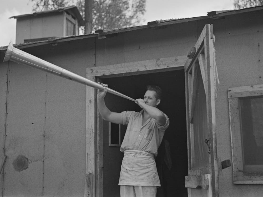 Camp Cook Blowing Dinner Horn, At Camp Near Effie, Minnesota By Russell Lee