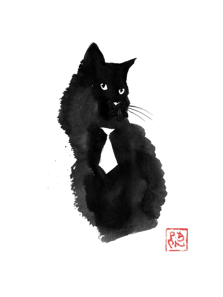 White Tie Cat