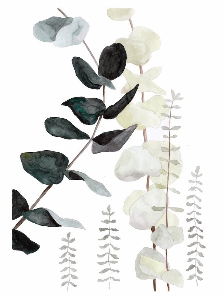 Botanical Illustration Plant Mix2