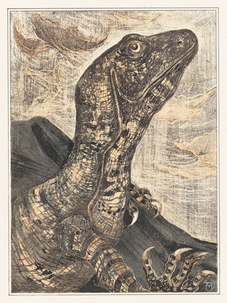 Iguana (1878–1906),Theo Van Hoytema