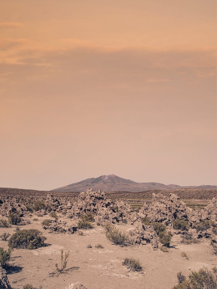 Mania Landscapes Raw 24 Uyuni (Bolivia)