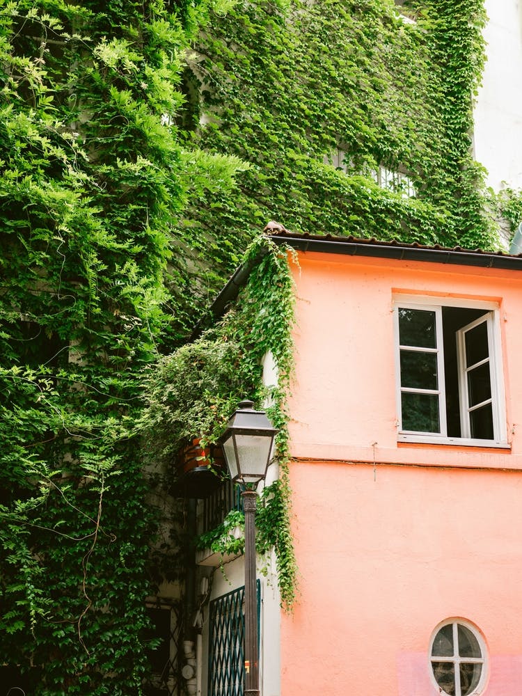 Green And Pink Montmartre Paris 2