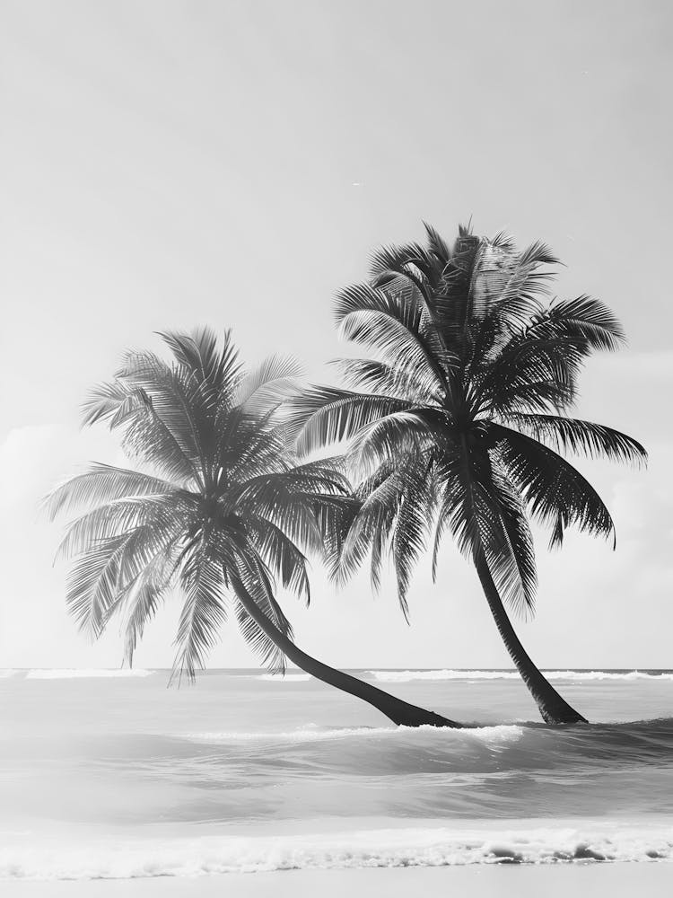 Zwei Palmen am Strand