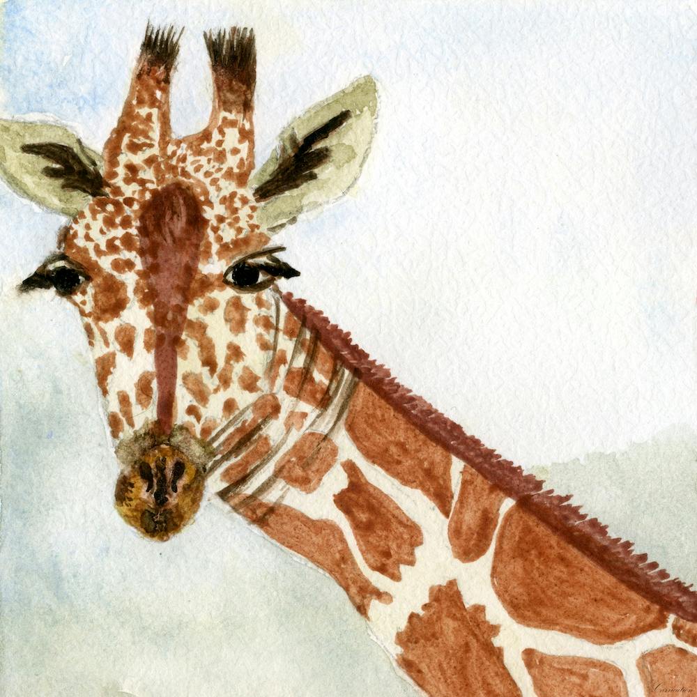 Giraffe Watercolor Painting