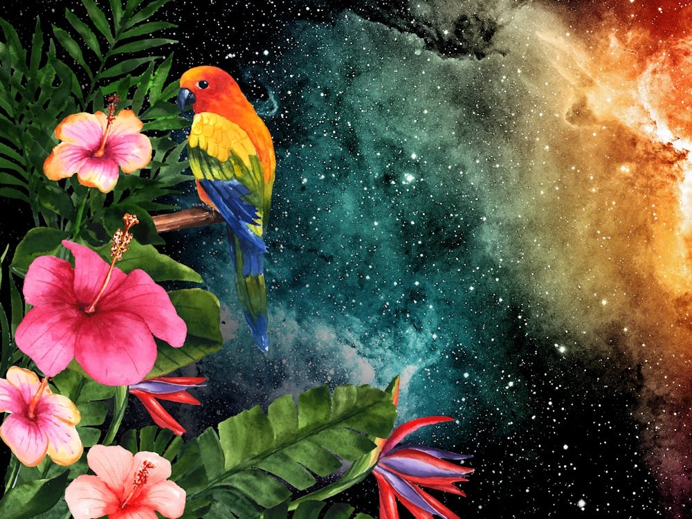 Tropical Synthwave Space Garden #16: Parrot