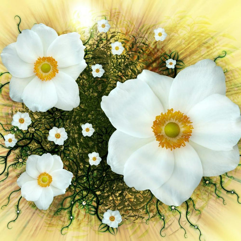 Weiße Blumen