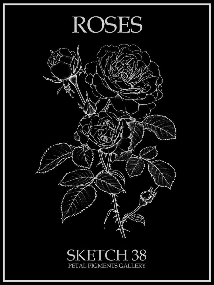 Roses Sketch 38 Poster Inverted