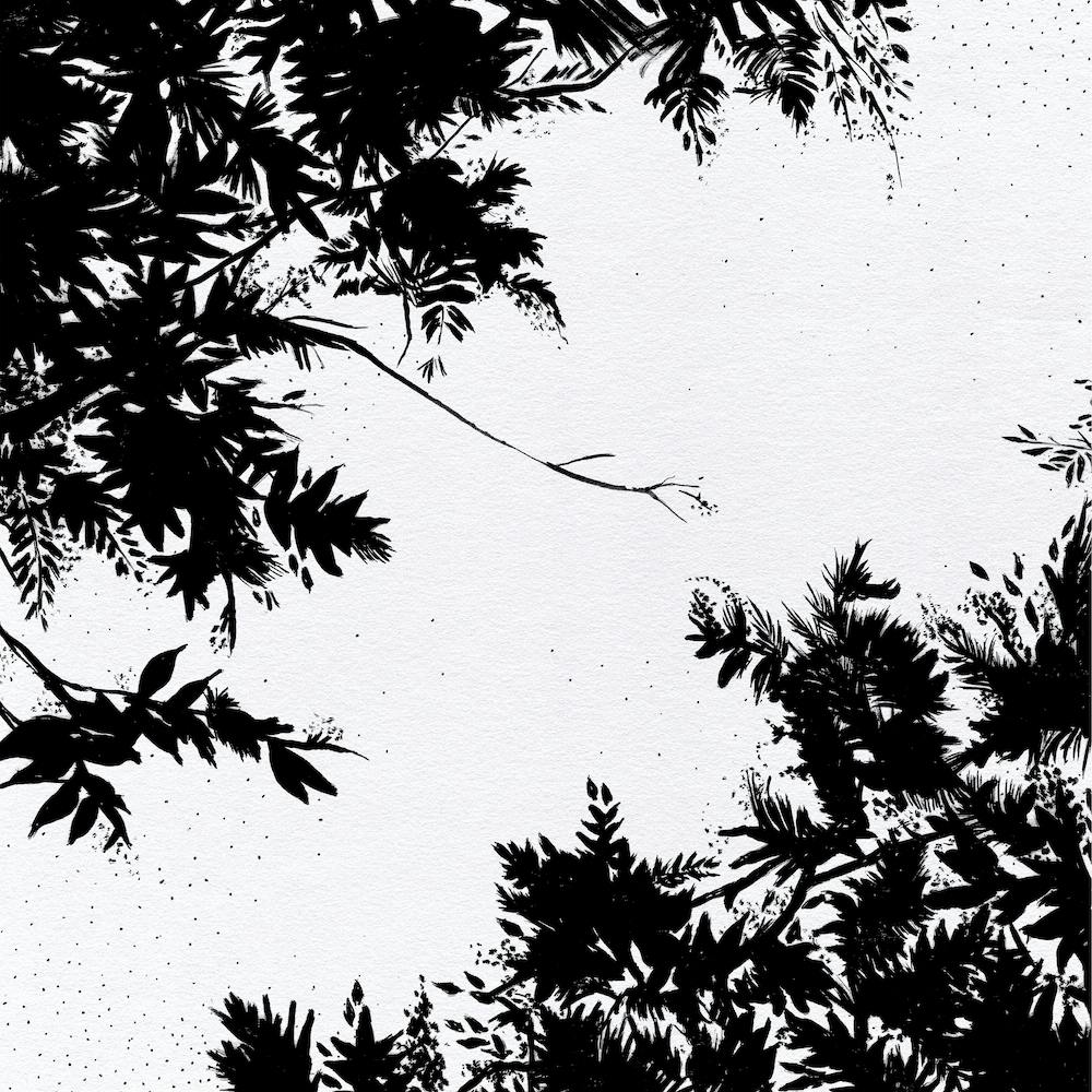 Black Night Sky Square