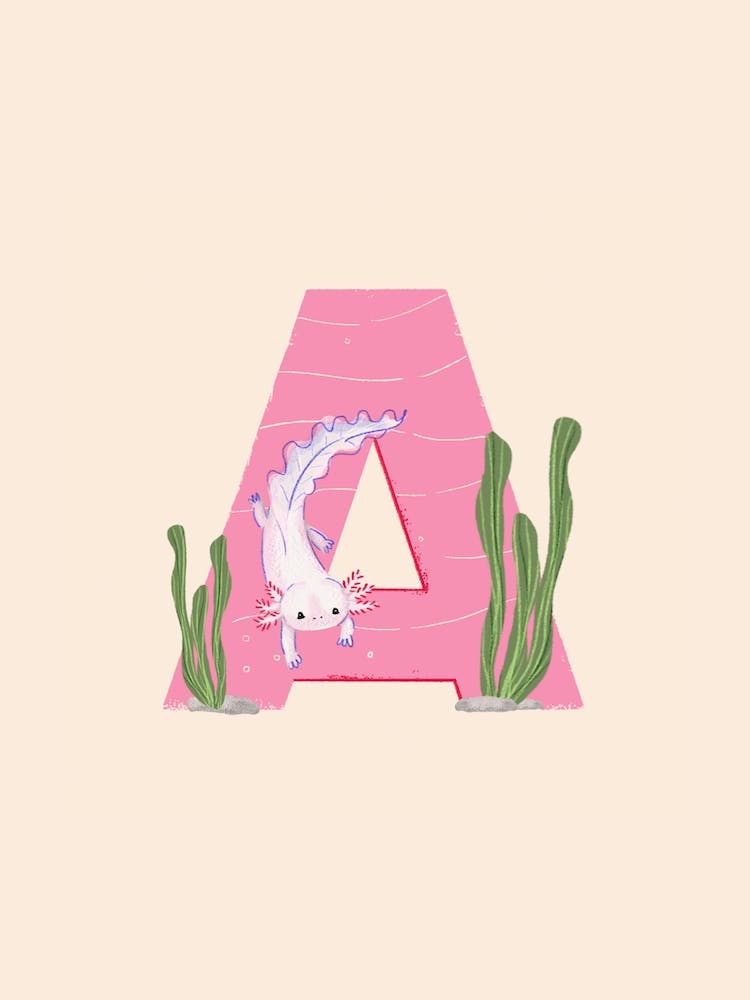 Letter A Axolotl