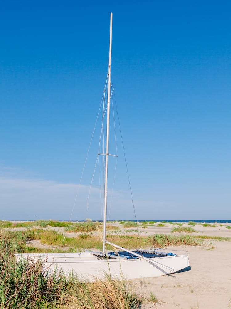 Sullivans Island XXIX