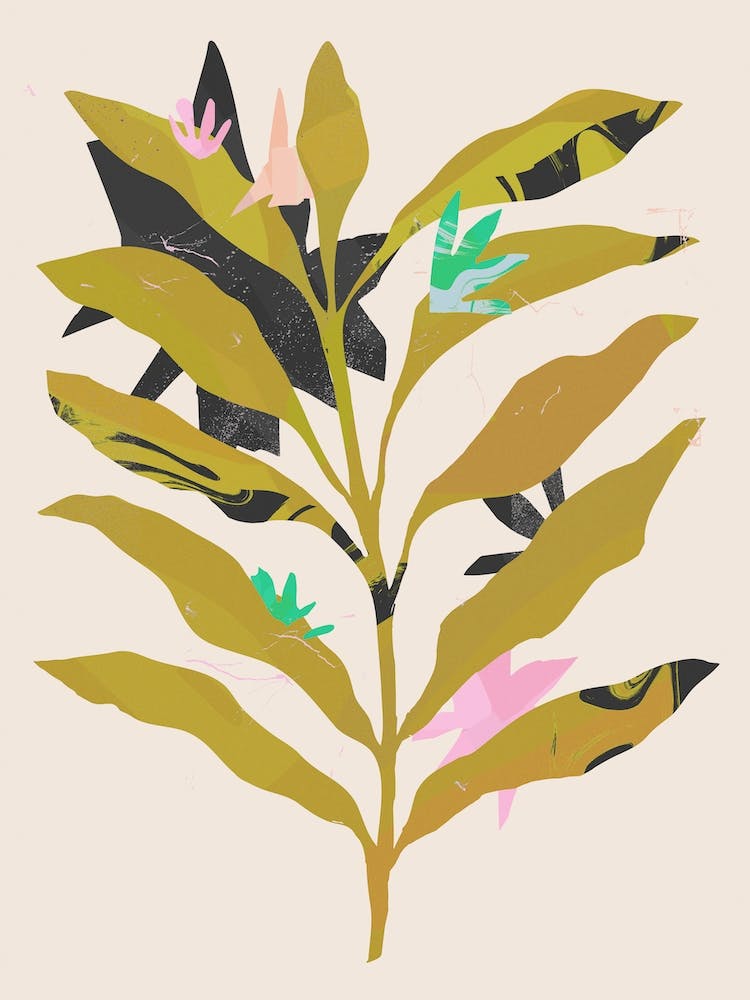 Olive Plant With Pollen