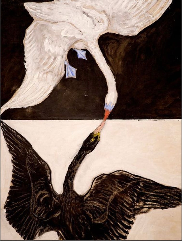 Swans