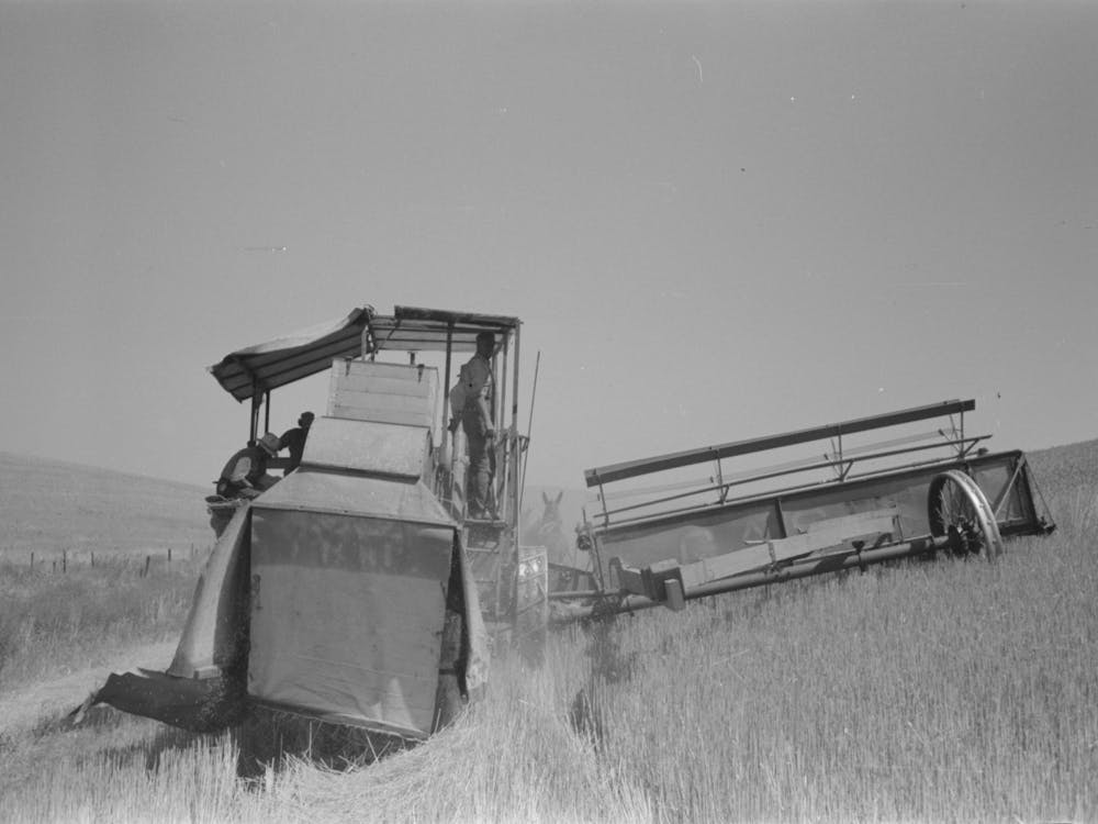 Walla Walla County, Washington, Harvesting Wheat With A Combine By Russell Lee