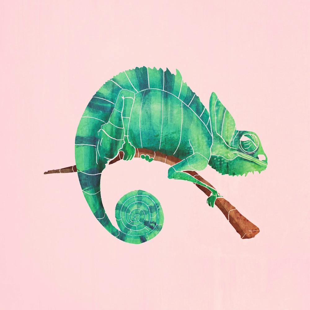 Chameleon