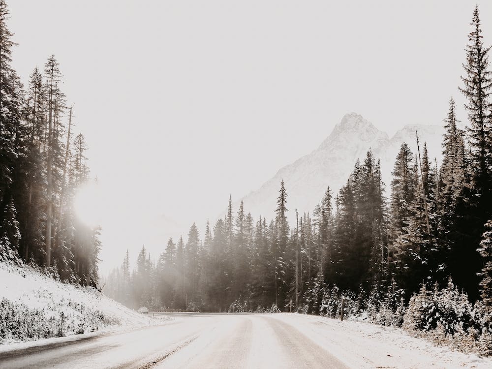 Snow Covered Roadway