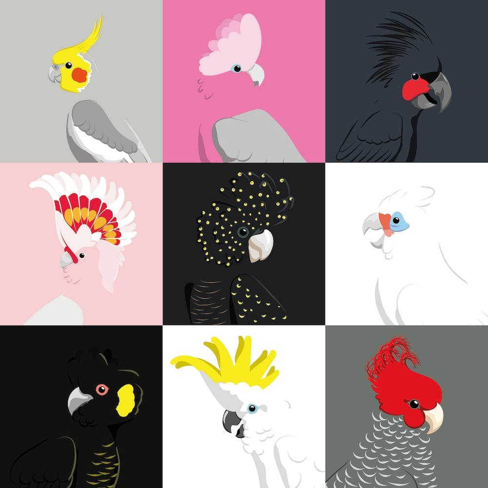 Cockatoo Tiles