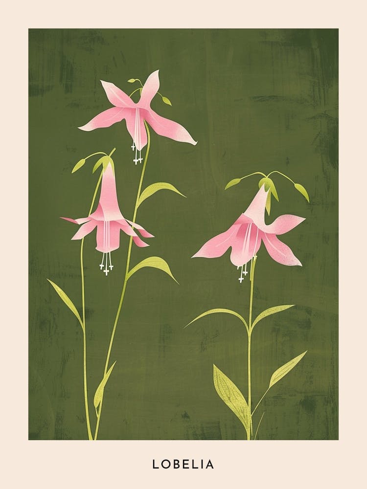 Pink & Green Lobelia Flower Poster