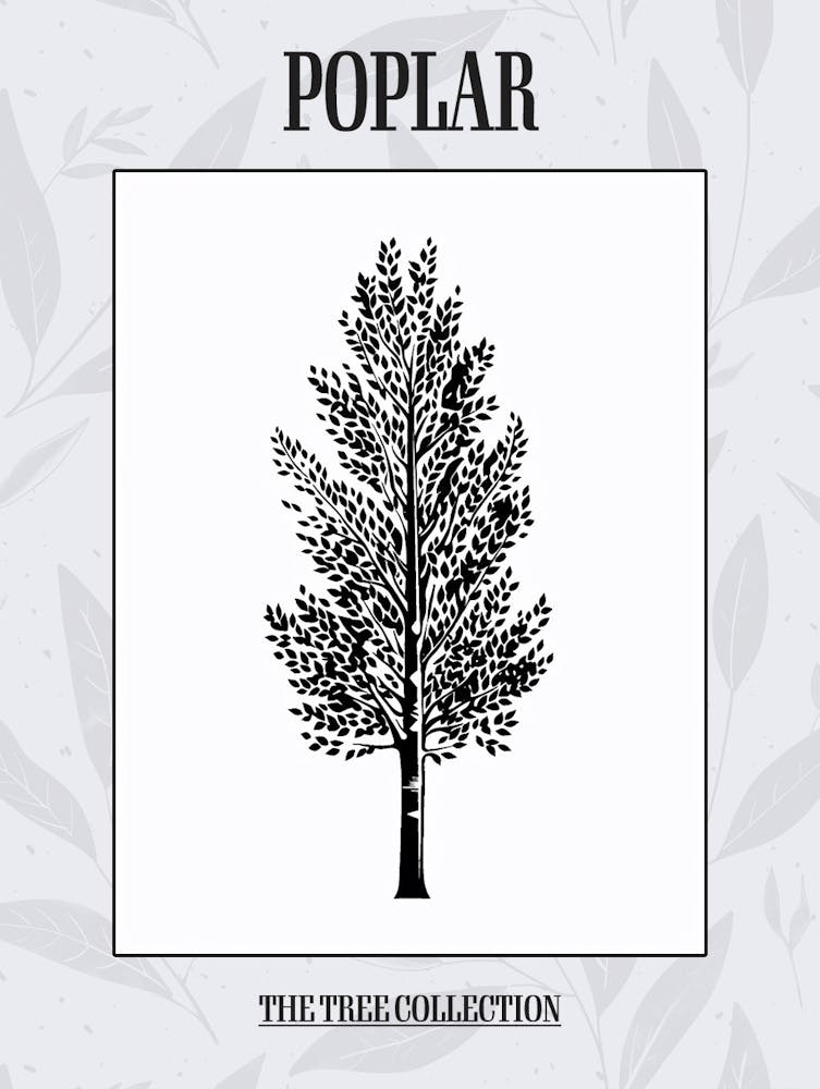 Poplar Tree Simple Geometric Nature Stencil 1 Poster