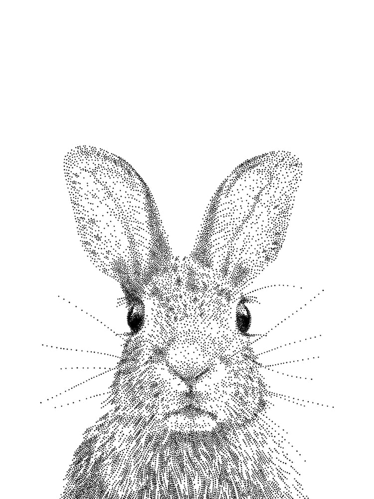 Bunny Animal Print