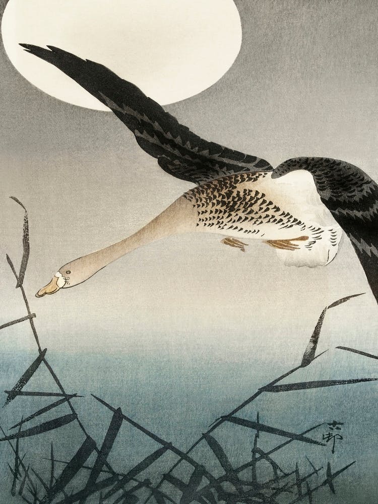 White Fronted Goose At Full Moon (1900 1930), Ohara Koson