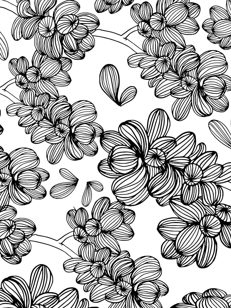 Black And White Floral Pattern