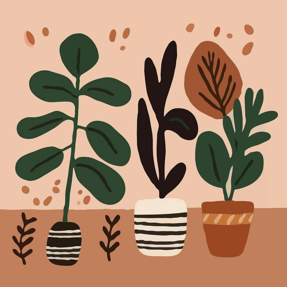 Potted Plants Background Boho
