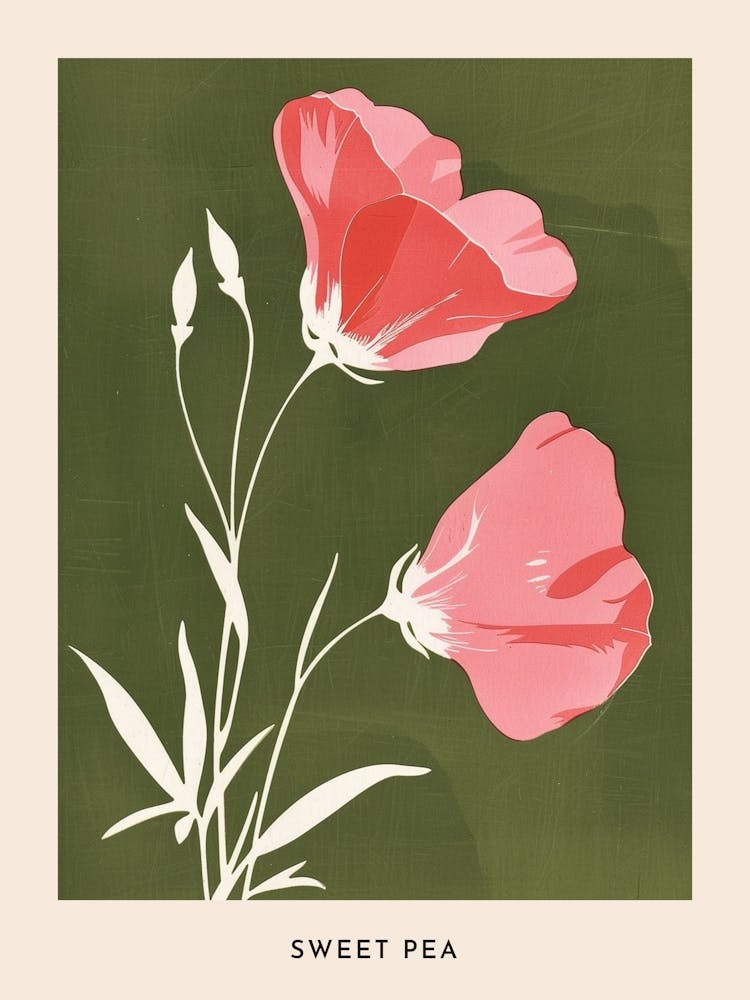 Pink & Green Sweet Pea 1 Flower Poster