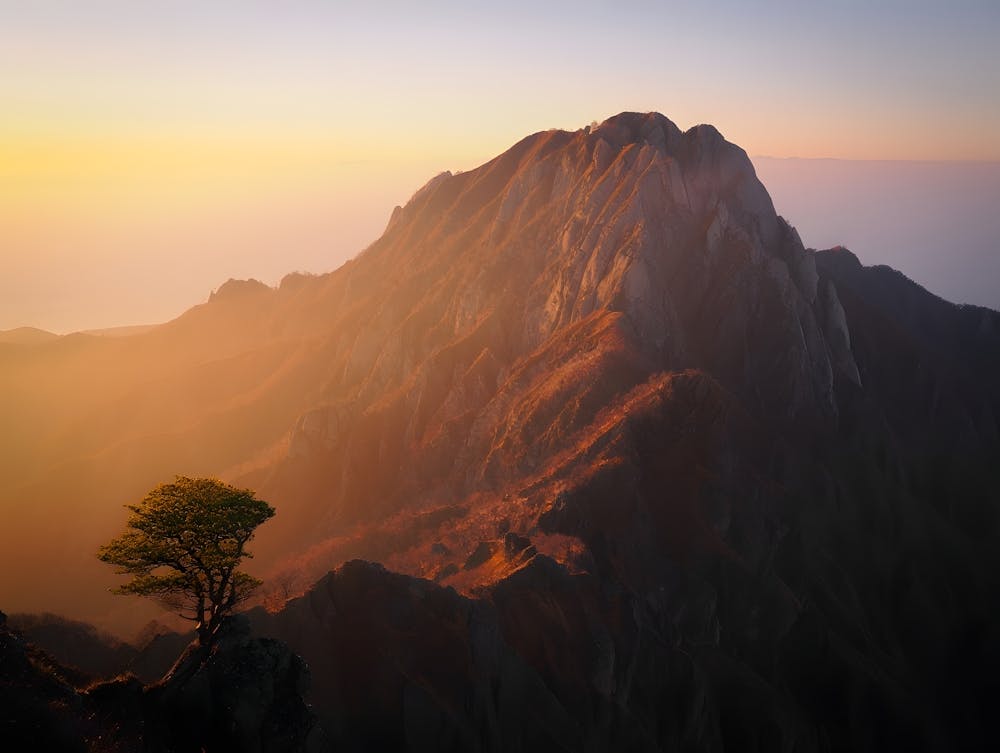 Lone Tree On Top Of Mountain